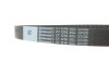 Фото 3 - комплект ГРМ Volvo S60/S80/S90/V40/V60/V70/V90/XC40/XC60/XC70/XC90 2.0D 13- (28x155z) CONTINENTAL Contitech CT1216K2 Комплект ГРМ Volvo S60/S80/S90/V40/V60/V70/V90/XC40/XC60/XC70/XC90 2.0D 13- (28x155z) CONTINENTAL Contitech CT1216K2 (фото 3)