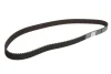 Ремінь ГРМ MAZDA 323 C IV, 323 III, 323 S IV 1.7D 04.86-07.94 Contitech CT 592 (фото 1)