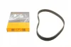 Ремінь ГРМ HONDA ACCORD IV, ACCORD V, ACCORD VI, PRELUDE IV, PRELUDE V, SHUTTLE ROVER 600 I 1.8/2.0/2.2 01.90-12.02 Contitech CT 799 (фото 1)