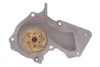 Комплект ГРМ + помпа Ford Mondeo 1.6Ti-VCT 07-14/Focus 1.4/1.6i 04-12/Fusion 1.2-1.6 02-12 (22x117z) CONTINENTAL Contitech CT881WP2 (фото 10)