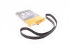 Ремінь ГРМ VW Golf IV/VW Passat/Audi A4/A6 1.8T/2.0i 96-05/Skoda Octavia 1.8i/T 96-10 (150x23) CONTINENTAL Contitech CT909