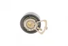 Комплект ГРМ VW Caddy III/Golf 1.4 97-13/Skoda Fabia/Octavia/Roomster 1.4 00-15 (20x130z/17x58z) CONTINENTAL Contitech CT957K3 (фото 18)