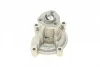 Помпа води Audi A3/Skoda Fabia/Octavia/Rapid/Roomster/VW Golf/Jetta/Passat/Polo 1.6/1.6FSI 03- CONTINENTAL Contitech WPS3003 (фото 6)