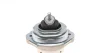 Подушка двигуна BMW X5 (E53) 00-06 CORTECO 80001082 (фото 2)