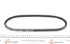 Ремінь генератора VW LT 2.4D/TD -96 DAYCO 10A0810C (фото 2)