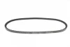 Ремінь генератора VW LT 2.4D/TD -96 DAYCO 10A0813C (фото 2)