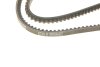 Фото 4 - ремень генератора клиновый DAYCO 10A1200C Ремень генератора клиновый DAYCO 10A1200C (фото 4)
