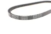 Ремінь генератора BMW/Lancia/Mazda/Etalon DAYCO 13A0835C (фото 3)