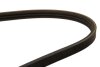 Фото 2 - ремінь генератора Honda/Toyota Modell F 2.0D 82-90 DAYCO 3PK812 Ремінь генератора Honda/Toyota Modell F 2.0D 82-90 DAYCO 3PK812 (фото 2)