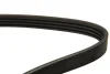 Ремінь генератора Honda Civic VII 1.7 i 01-05 DAYCO 4PK1013 (фото 2)