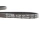 Фото 5 - ремень генератора поликлиновый DAYCO 4PK1060 Ремень генератора поликлиновый DAYCO 4PK1060 (фото 5)