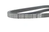 Ремінь генератора Toyota Yaris 1.0 99-05 DAYCO 4PK1710 (фото 4)