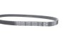 Фото 4 - ремінь генератора Citroen Jumper 1.9TD 94-02 DAYCO 4PK698 Ремінь генератора Citroen Jumper 1.9TD 94-02 DAYCO 4PK698 (фото 4)
