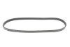 Фото 1 - ремінь генератора Mitsubishi Pajero Pinin 1.8 GDI 99-01/Subaru Impreza 1.5/2.5 AWD 08-12 (4PK785) DAYCO 4PK785S Ремінь генератора Mitsubishi Pajero Pinin 1.8 GDI 99-01/Subaru Impreza 1.5/2.5 AWD 08-12 (4PK785) DAYCO 4PK785S (фото 1)