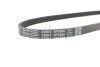 Фото 4 - ремінь генератора BMW 3 (E46)/5 (E39/E60/E61)/X5 (E53) 2.0-4.8i 00-06 M54/N62 DAYCO 4PK860 Ремінь генератора BMW 3 (E46)/5 (E39/E60/E61)/X5 (E53) 2.0-4.8i 00-06 M54/N62 DAYCO 4PK860 (фото 4)