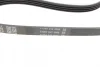 Ремінь генератора Fiat Fiorino/Nissan Primera 1.6 90-03 DAYCO 4PK915 (фото 3)