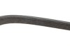 Ремінь генератора Suzuki Baleno 1.8 96-02 DAYCO 5DPK1550 (фото 2)