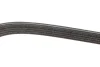Ремінь генератора Suzuki Baleno 1.8 96-02 DAYCO 5DPK1550 (фото 2)