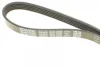 Ремінь генератора Toyota Camry/ Celica/ Rav4 1.8-2.0 83-00 DAYCO 5PK1000 (фото 4)