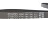 Ремінь генератора Fiat Ducato 2.5D/TD/TDI 94-02/Toyota Rav4 2.0 97-00/Audi A4/A5 12-15 DAYCO 5PK1090 (фото 3)