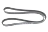 Ремінь генератора MB A-Class 1.6/1.8/2.0 CDI 04-12 (5PK1310) DAYCO 5PK1310S (фото 1)