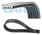 Ремінь генератора TERRACAN (HP) 2.9 CRDi 01-06 DAYCO 5PK1695 (фото 1)