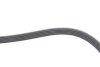 Фото 3 - ремінь генератора Hyundai i10/Kia Picanto 1.1 CRDi 08-/Mitsubishi Colt 1.5 DI-D 04-12 DAYCO 5PK1790 Ремінь генератора Hyundai i10/Kia Picanto 1.1 CRDi 08-/Mitsubishi Colt 1.5 DI-D 04-12 DAYCO 5PK1790 (фото 3)
