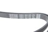 Фото 4 - ремінь генератора Hyundai i10/Kia Picanto 1.1 CRDi 08-/Mitsubishi Colt 1.5 DI-D 04-12 DAYCO 5PK1790 Ремінь генератора Hyundai i10/Kia Picanto 1.1 CRDi 08-/Mitsubishi Colt 1.5 DI-D 04-12 DAYCO 5PK1790 (фото 4)
