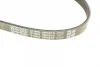 Ремінь генератора BMW 3 (E46)/X5 (E53)/5 (E39) 2.5D/3.0D 98-06 DAYCO 5PK810 (фото 4)