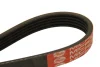 Ремінь генератора BMW 3/5 90-00 / Ford Focus 2.5 05-12 DAYCO 5PK890 (фото 2)