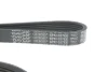 Ремінь генератора Ford Focus/Kuga/C-Max 1.5 EcoBoost 14- DAYCO 6PK1027EE (фото 4)