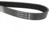 Ремінь генератора VW Caddy 1.9D/SDI -03 (WP,TP) DAYCO 6PK1035 (фото 2)
