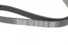 Ремінь генератора Lexus RX 03-08 DAYCO 6PK1040 (фото 4)