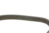 Фото 3 - ремень генератора поликлиновый DAYCO 6PK1059 Ремень генератора поликлиновый DAYCO 6PK1059 (фото 3)