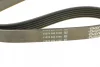 Ремінь генератора BMW M3 (E90/E93) 07-13/ Peugeot 306 1.8-2.0 94-01 DAYCO 6PK1065 (фото 3)