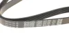 Ремінь генератора VW Golf V/VI/Passat VI/VII/Tiguan/Touran 1.4TSI/FSI/1.6 FSI 03-18 DAYCO 6PK1087 (фото 2)