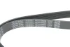 Ремінь генератора Citroen C3/C4/Peugeot 307 1.4-1.6HDi 02- (6PK1090) DAYCO 6PK1090EE (фото 4)