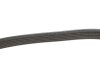 Фото 3 - ремень генератора поликлиновый DAYCO 6PK1120HD Ремень генератора поликлиновый DAYCO 6PK1120HD (фото 3)