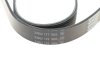 Фото 4 - ремень генератора поликлиновый DAYCO 6PK1120HD Ремень генератора поликлиновый DAYCO 6PK1120HD (фото 4)