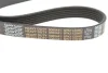 Ремінь генератора VW T5 1.9TDI/2.0TDI 03- (PS) HD DAYCO 6PK1120HD (фото 5)