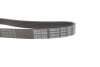 Ремінь генератора Skoda Octavia/VW Golf 1.6-2.0/1.9TDI 97-13/Passat B6/B7 1.8-2.0TSI/T5 1.9TDI 03-15 DAYCO 6PK1120S (фото 3)