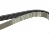 Ремінь генератора VW Caddy/T5 1.9TDI DAYCO 6PK1137 (фото 4)