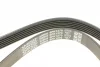 Ремінь генератора Ford Granada/Fiat Bravo 1.9D/2.0 07- DAYCO 6PK1270 (фото 4)