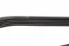 Ремінь генератора VW T4 2.4D -03 DAYCO 6PK1335 (фото 3)