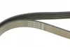 Ремінь генератора VW T4/Citroen Bipper 1.4HDI/2.4D/2.5 96- DAYCO 6PK1352 (фото 3)