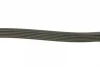 Ремінь генератора Citroen Berlingo/Jumpy/Peugeot Expert/Partner 1.6HDI DAYCO 6PK1355 (фото 2)