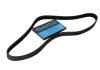 Ремень генератора Honda S2000 2.0 99- DAYCO 6PK1472 (фото 1)