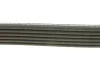 Ремінь генератора Citroen Berlingo 1.6 00-08/ Nemo 1.4i 08- DAYCO 6PK1558 (фото 2)