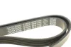 Ремінь генератора Citroen Berlingo 1.6 00-08/ Nemo 1.4i 08- DAYCO 6PK1558 (фото 4)