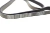 Ремінь генератора Citroen Berlingo/Peugeot Bipper/Partner (6PK1560/1565) DAYCO 6PK1565 (фото 2)